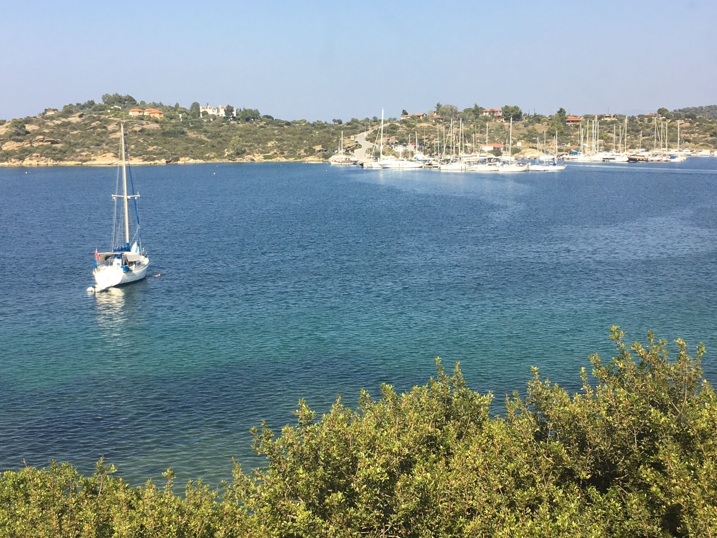 A sailboat on calm waters with a backdrop of a hilly coastline and a marina with several boats.