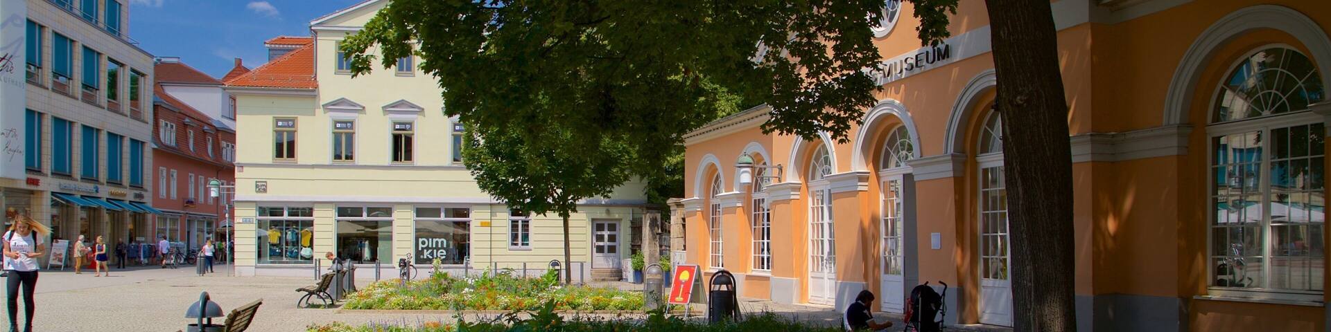 Musée du Bauhaus montrant fleurs sauvages et parc