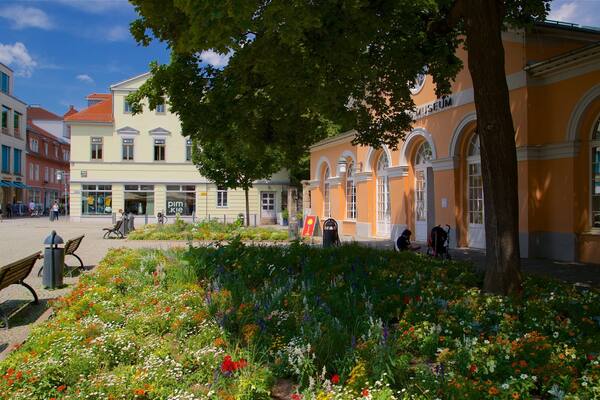 Musée du Bauhaus montrant fleurs sauvages et parc