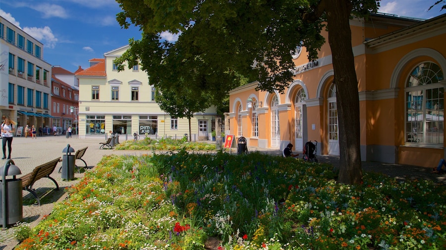Bauhaus Museum which includes wild flowers and a park