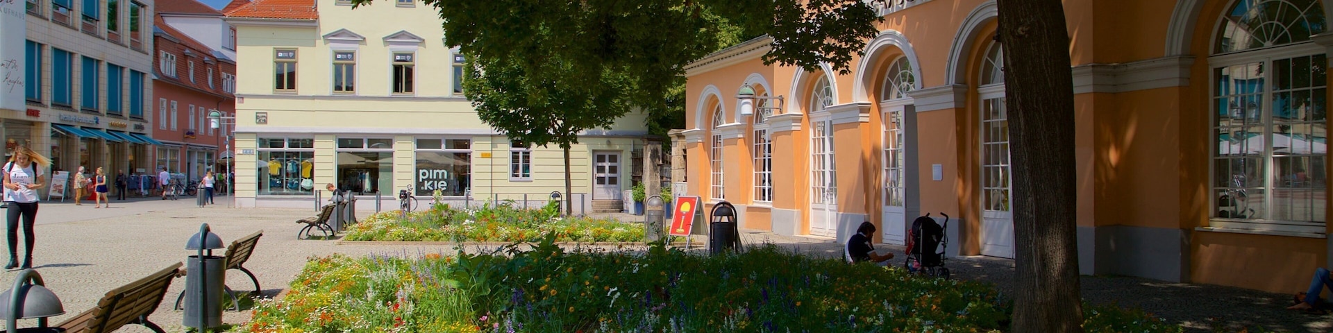 Bauhaus Museum caracterizando um parque e flores silvestres