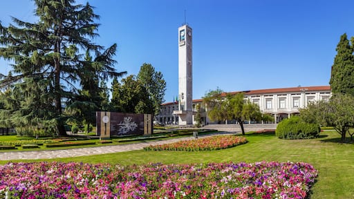 Vila Nova de Famalicão