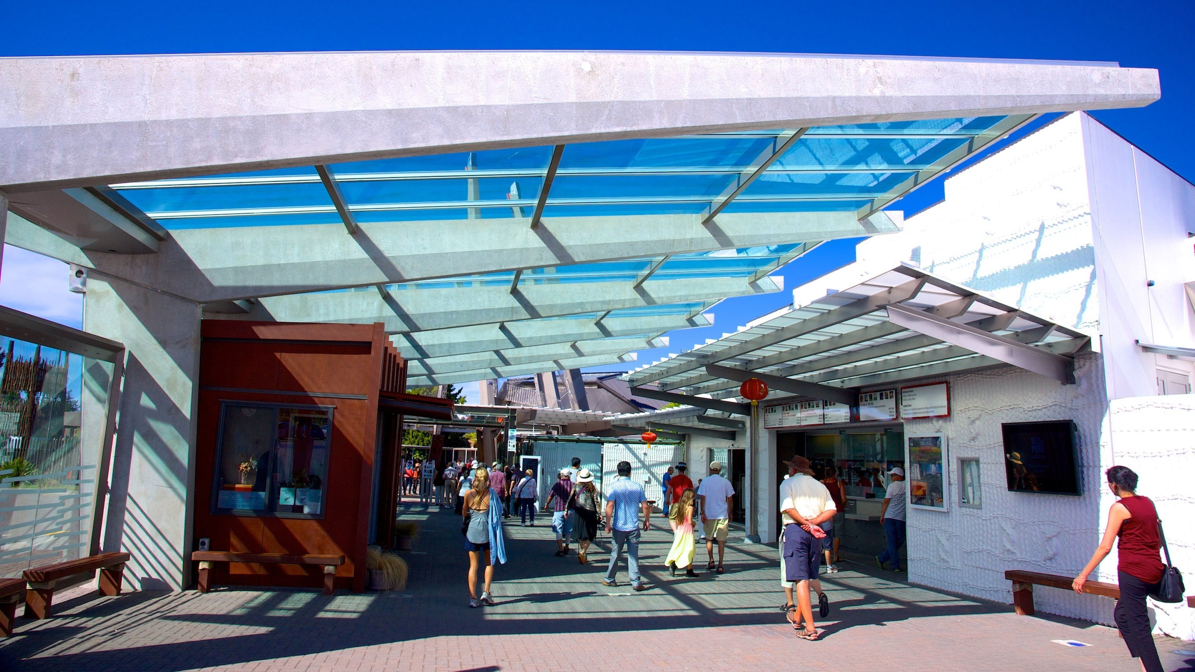 Te Puia New Zealand Maori Arts and Crafts Institute as well as a small group of people