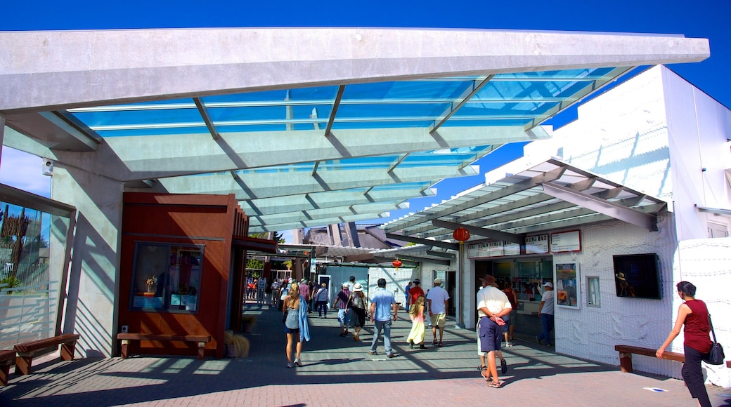 Te Puia New Zealand Maori Arts and Crafts Institute y también un pequeño grupo de personas