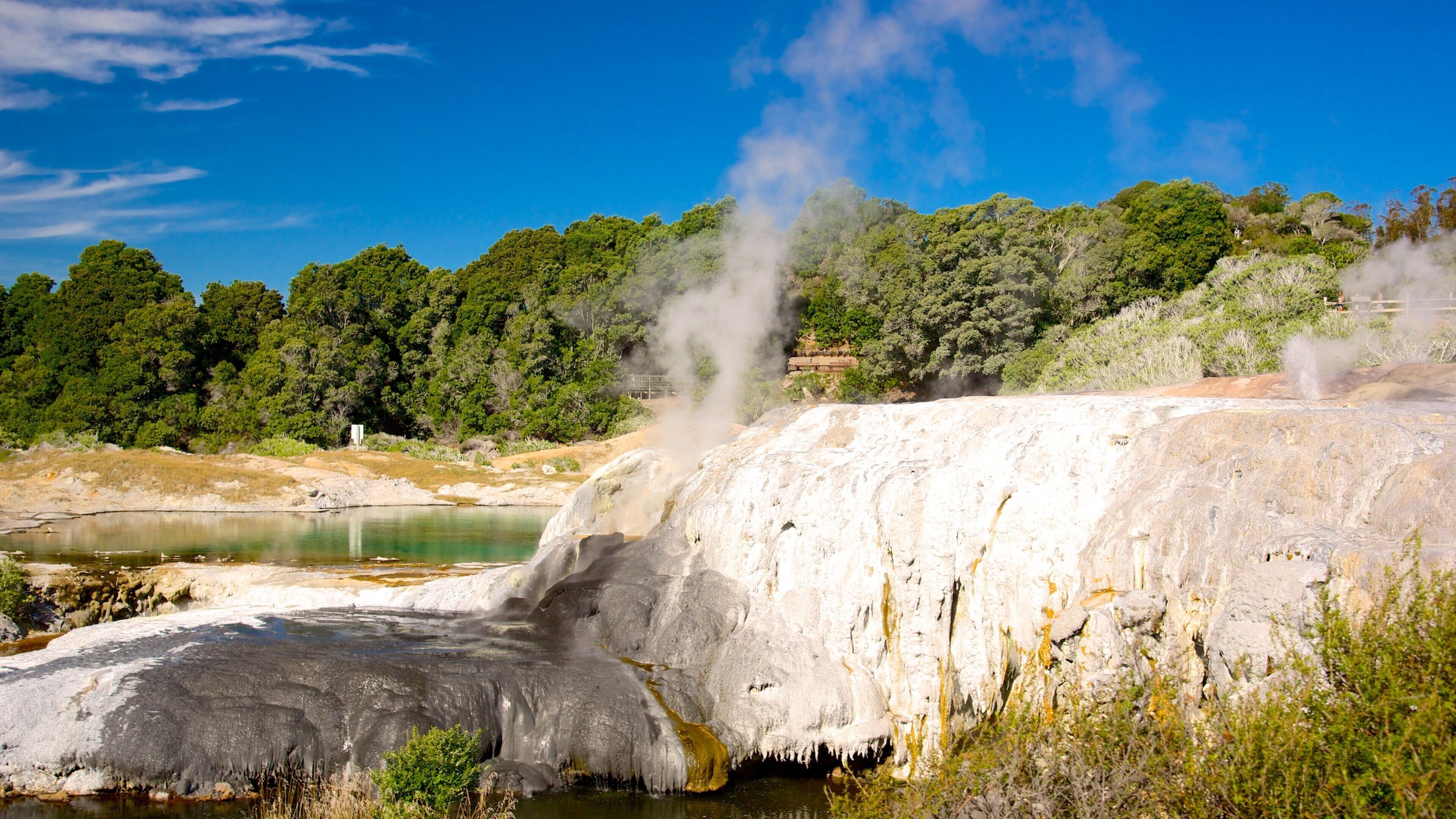Te Puia New Zealand Maori Arts and Crafts Institute which includes a hot spring