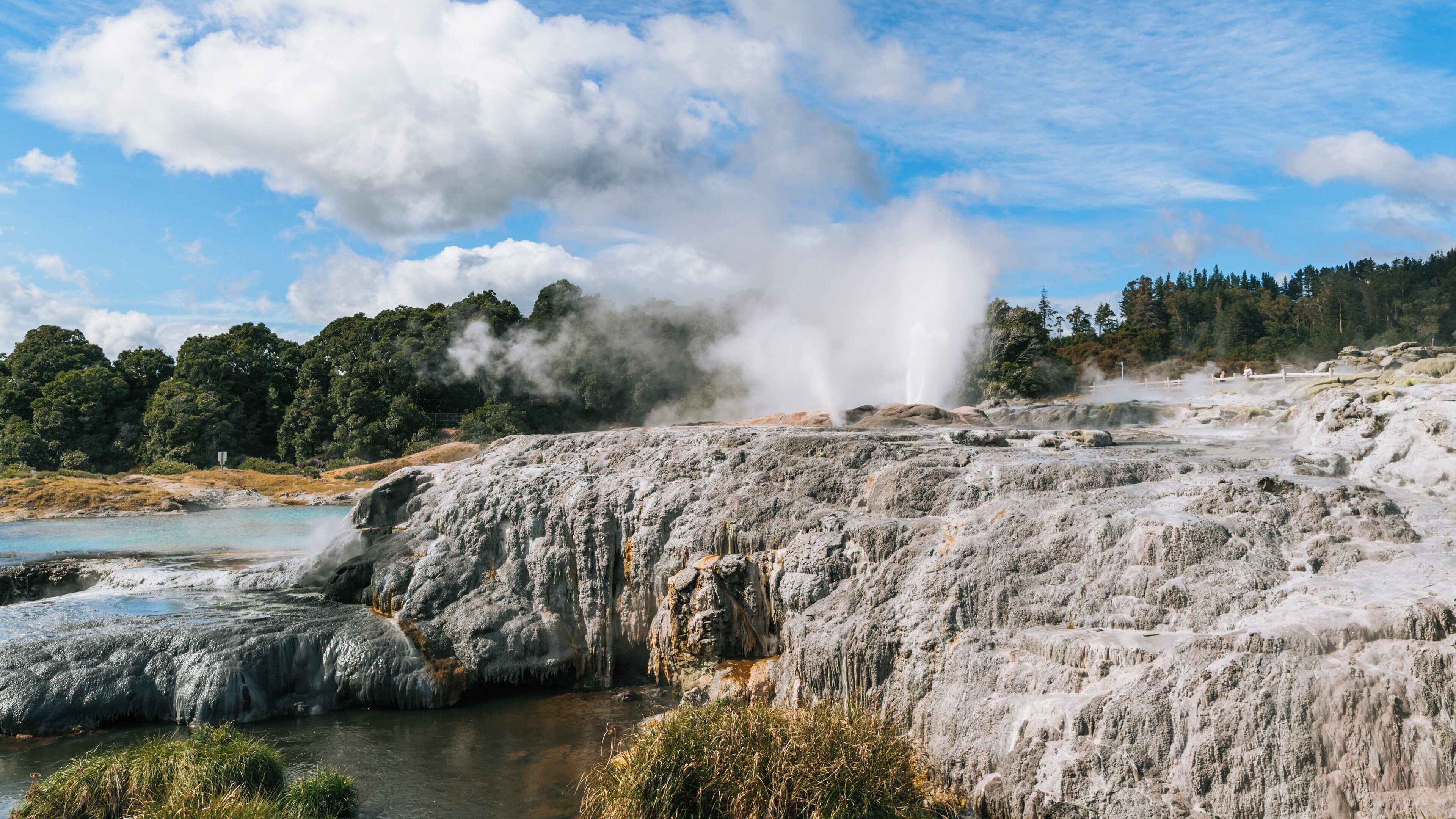Te Puia showcases geothermal wonders in Whakarewarewa, Rotorua, Bay of Plenty, New Zealand, featuring geysers and rich Maori culture
