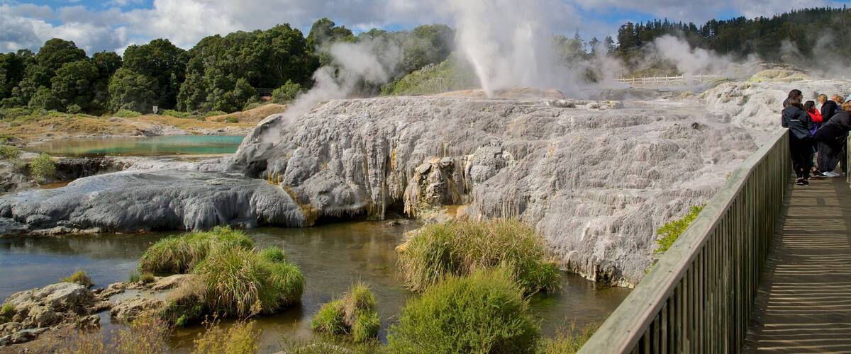 Te Puia New Zealand Maori Arts and Crafts Institute featuring a hot spring and mist or fog