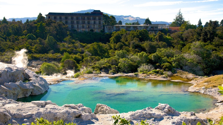 Te Puia New Zealand Maori Arts and Crafts Institute which includes a hot spring