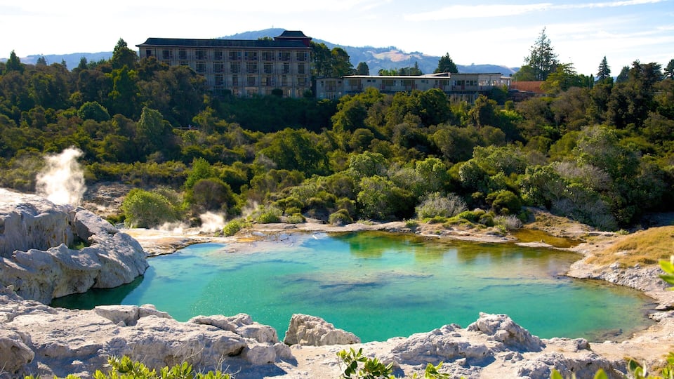 Te Puia New Zealand Maori Arts and Crafts Institute which includes a hot spring