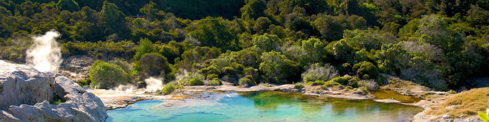Te Puia New Zealand Maori Arts and Crafts Institute which includes a hot spring