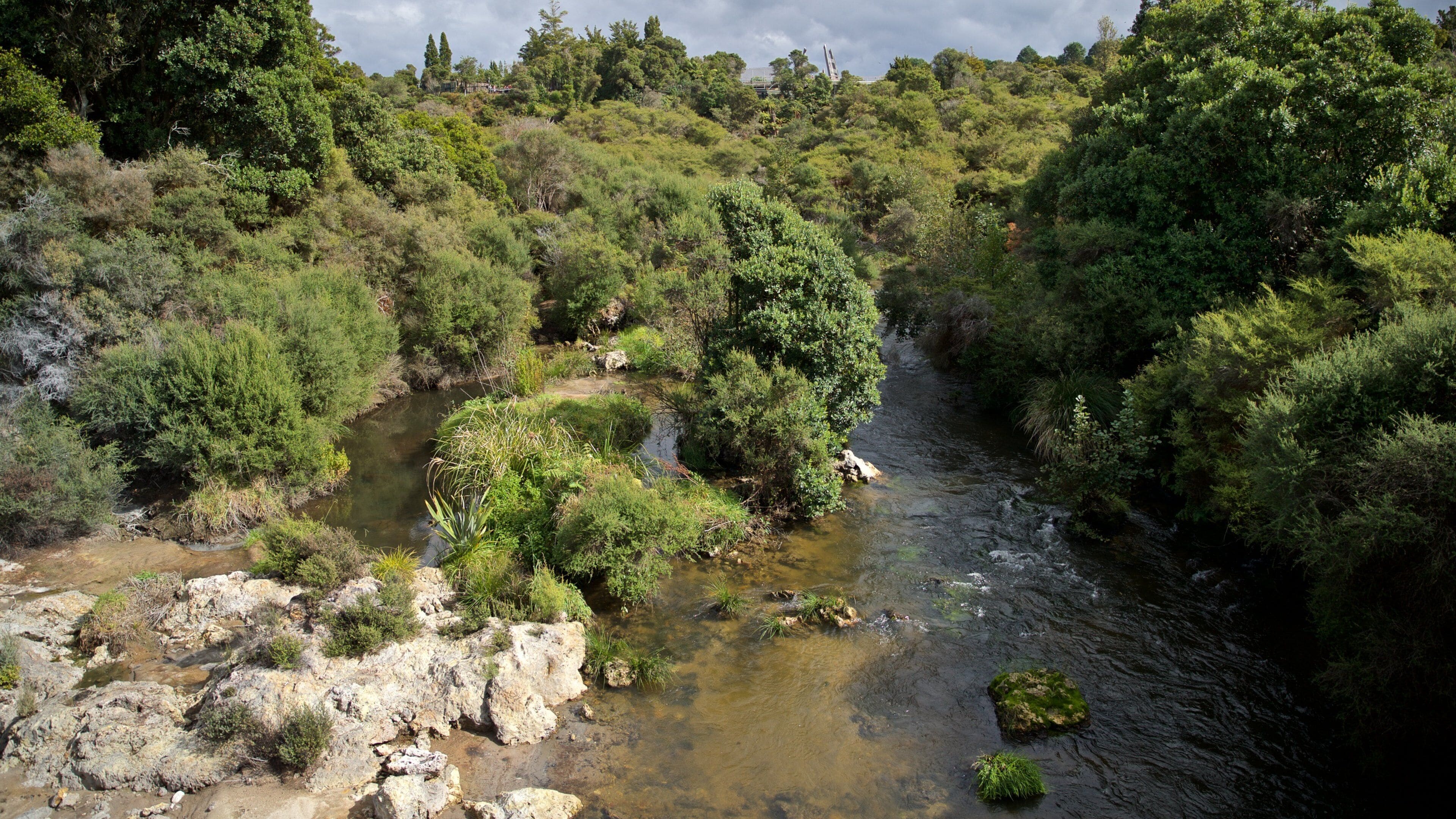 Te Puia New Zealand Maori Arts and Crafts Institute showing a river or creek