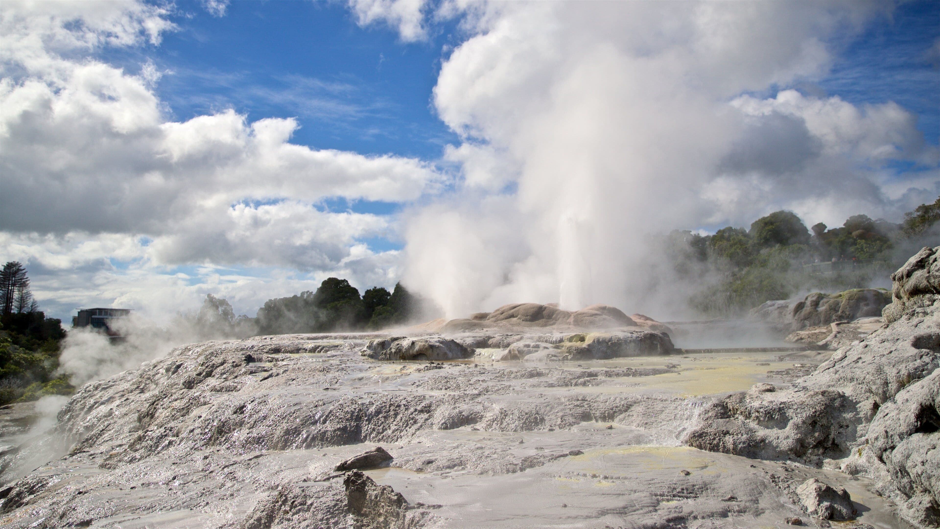 Te Puia New Zealand Maori Arts and Crafts Institute featuring mist or fog and a hot spring