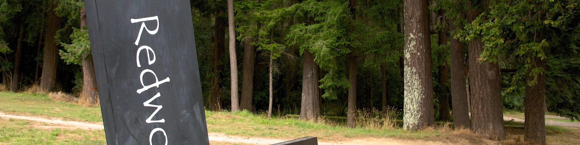Redwoods Whakarewarewa Forest showing forests and signage