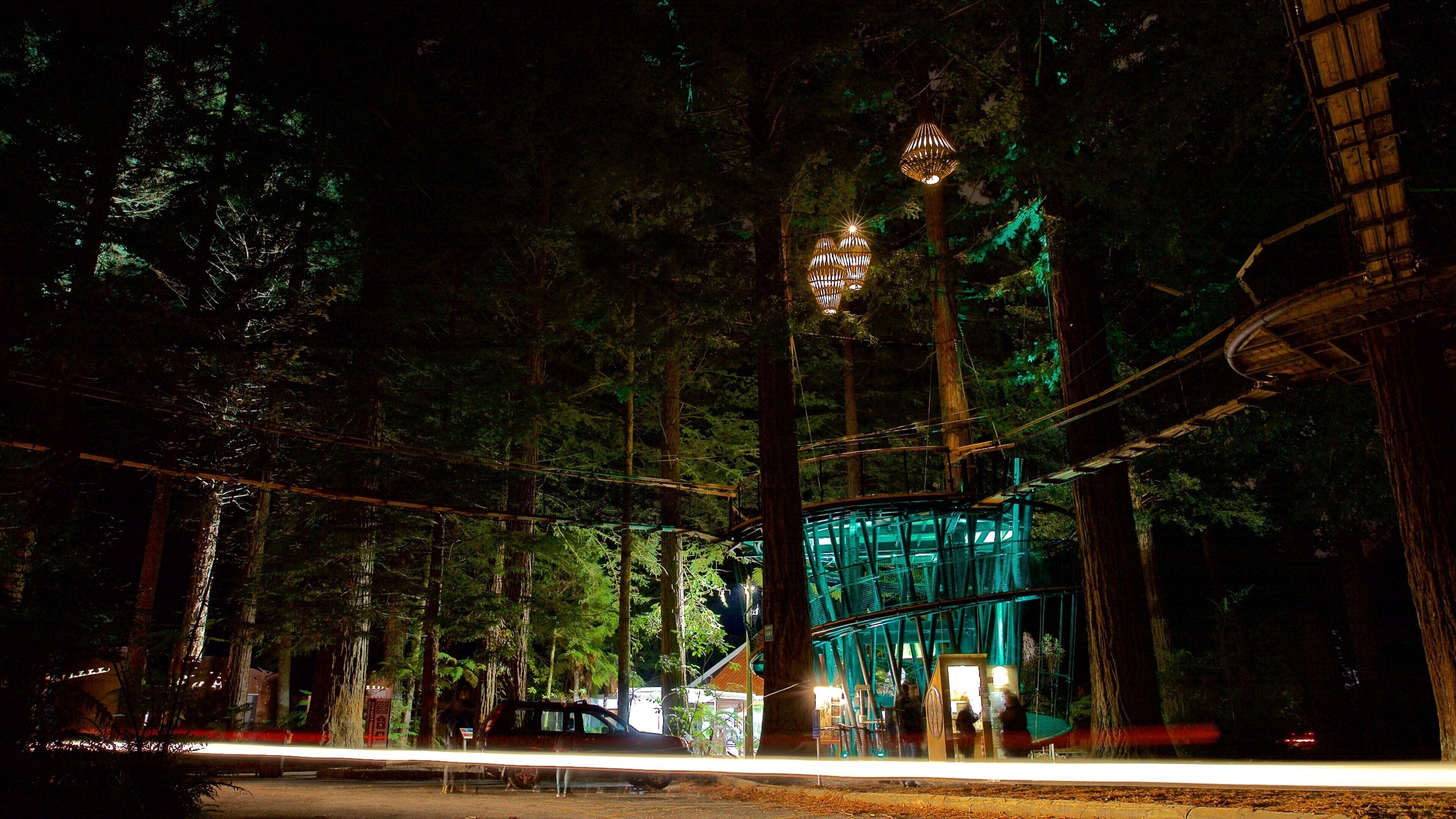 Escena nocturna de un bosque con una estructura de vidrio y un puente colgante.