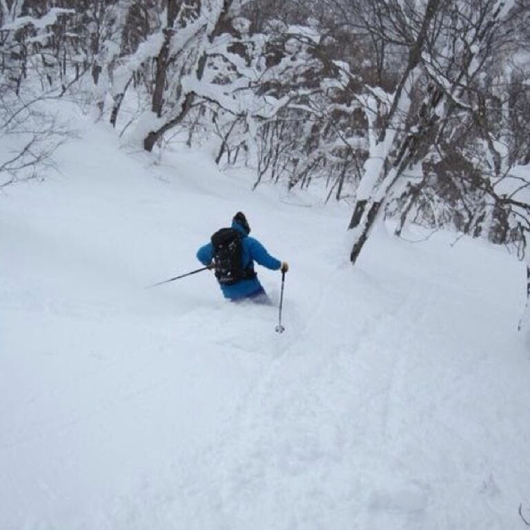 Niseko Grand Hirafu ski resort powder snow