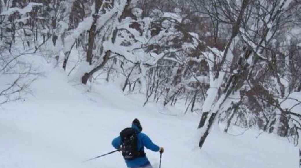 Niseko Grand Hirafu ski resort powder snow