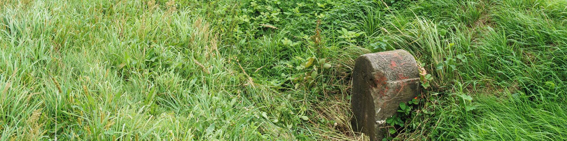 This media shows the protected monument of Saxony with the ID 08966191 KDSa/08966191(other).