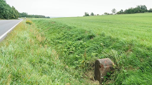 This media shows the protected monument of Saxony with the ID 08966191 KDSa/08966191(other).