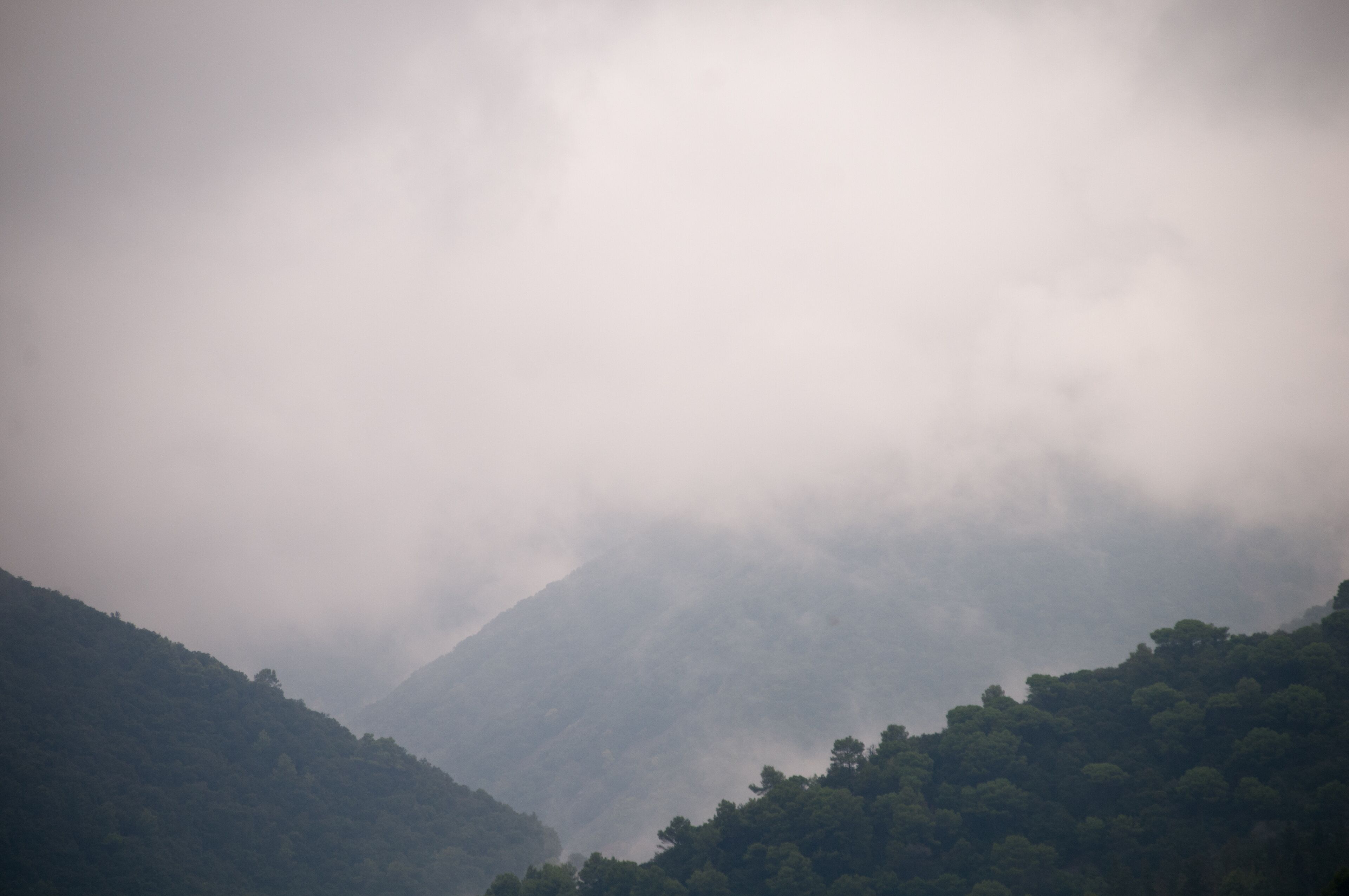 fog over the mountains of canoves