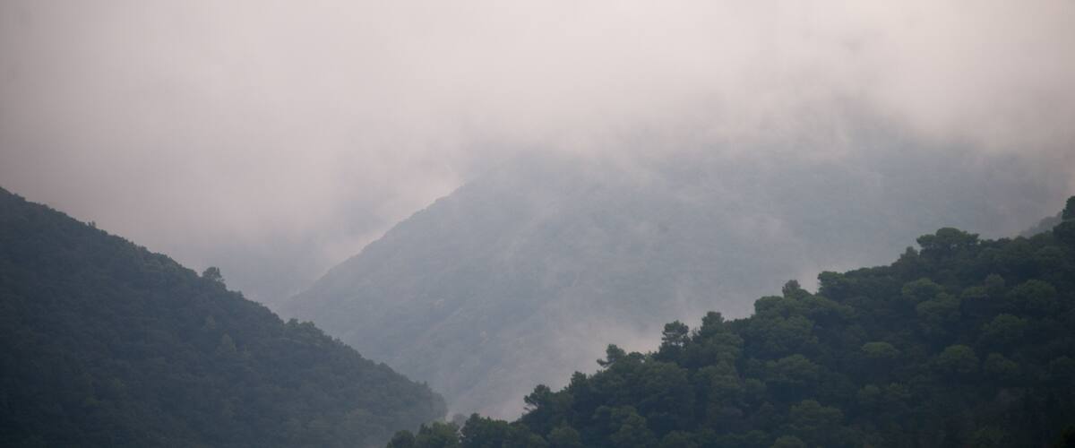 A misty mountain landscape with dense forests.