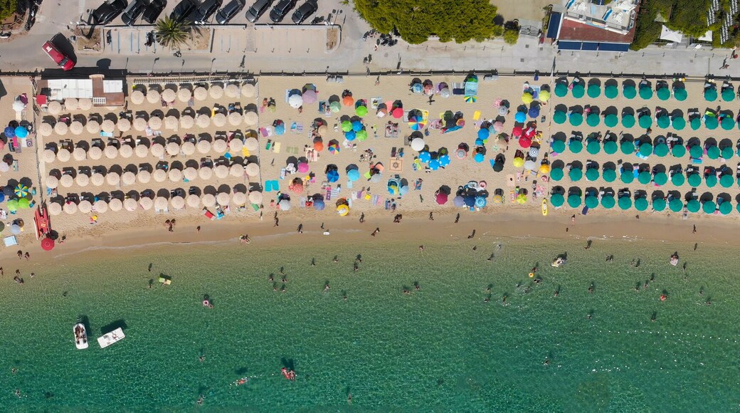 Amazing overhead aerial view of Cavoli Beach, Elba Island in summer season, Italy