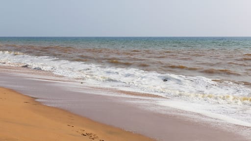 The foam of turbulent wave on the beach at Veli, Thiruvananthapuram, Kerala, India