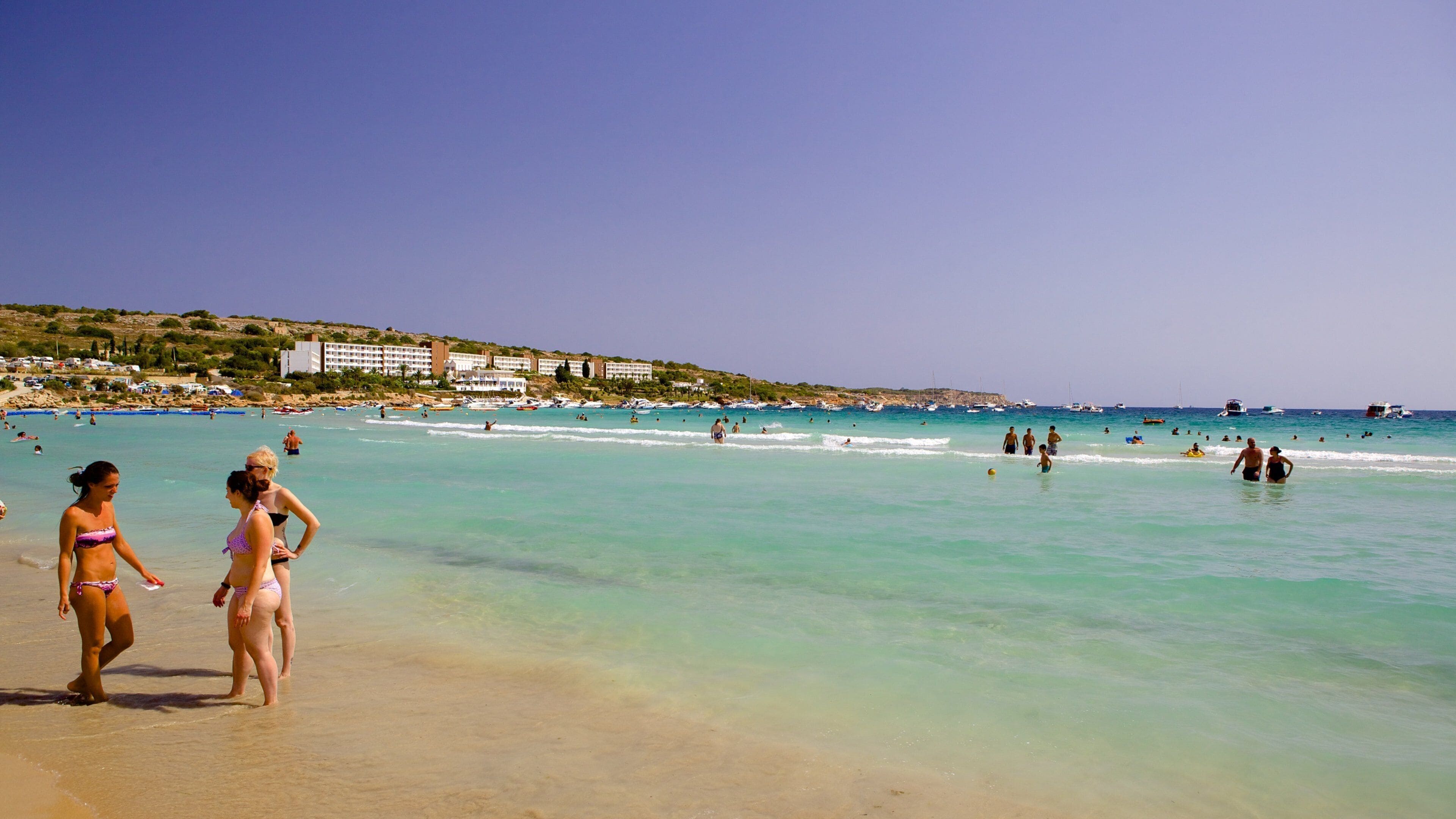 Mellieha Bay featuring a sandy beach