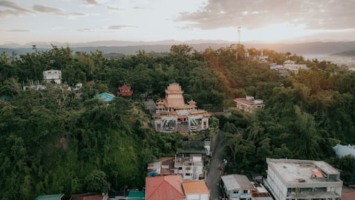 Aerial View of Ma-Cho Temple Surrounded by Lush Trees in San Fernando, La Union, Philippines at Sunrise