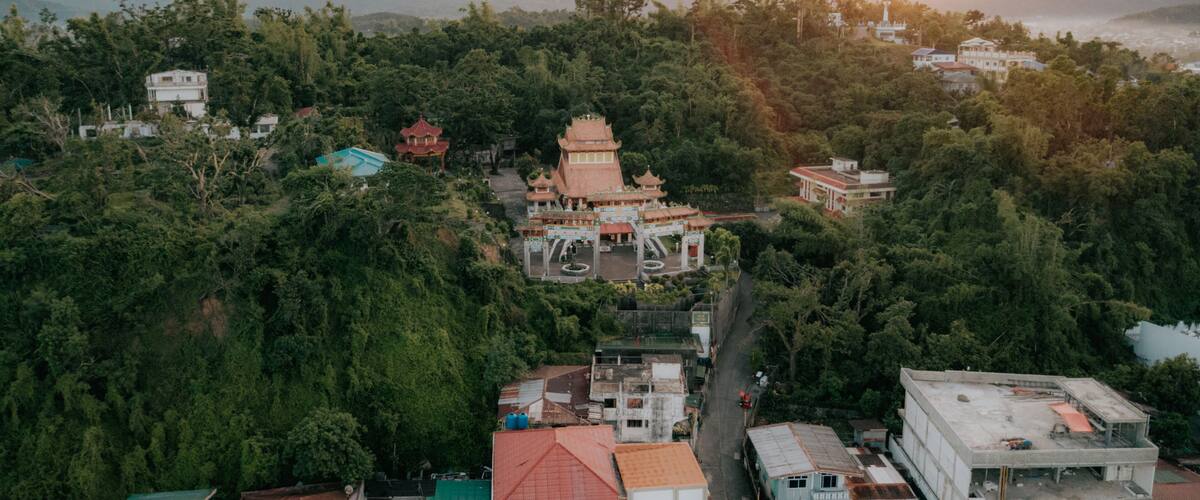A pagoda surrounded by dense forest, with a mountain range in the background.