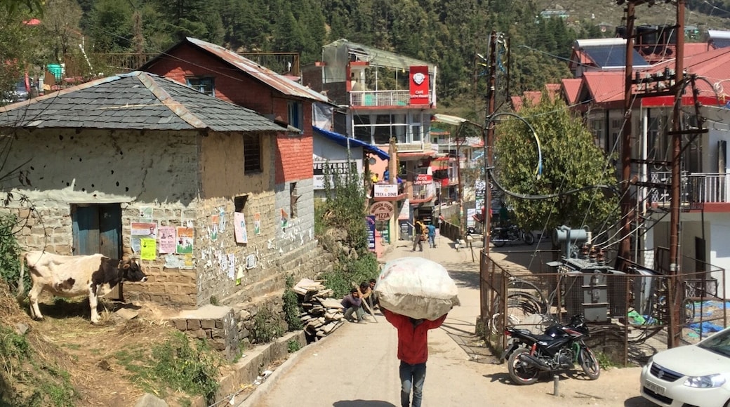 Dharamkot is an Israeli hippie village near Dharamsala. #LifeAtExpedia
https://en.wikipedia.org/wiki/Dharamkot,_Himachal_Pradesh
