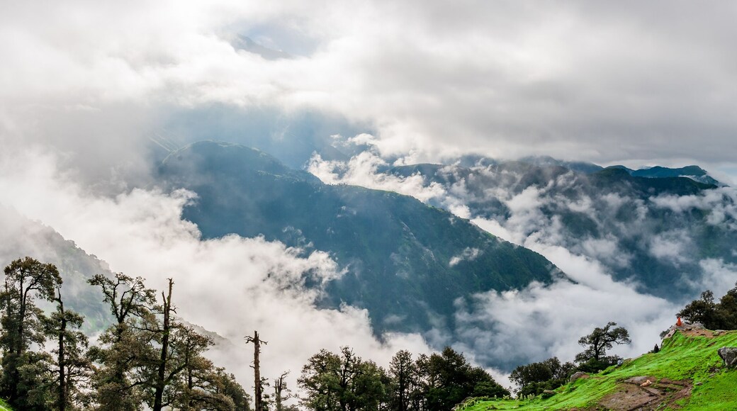 Forested mountain slope with the evergreen conifers shrouded in mist in a scenic landscape view at Triund Hill, Mcleod ganj, Himachal Pradesh, India.