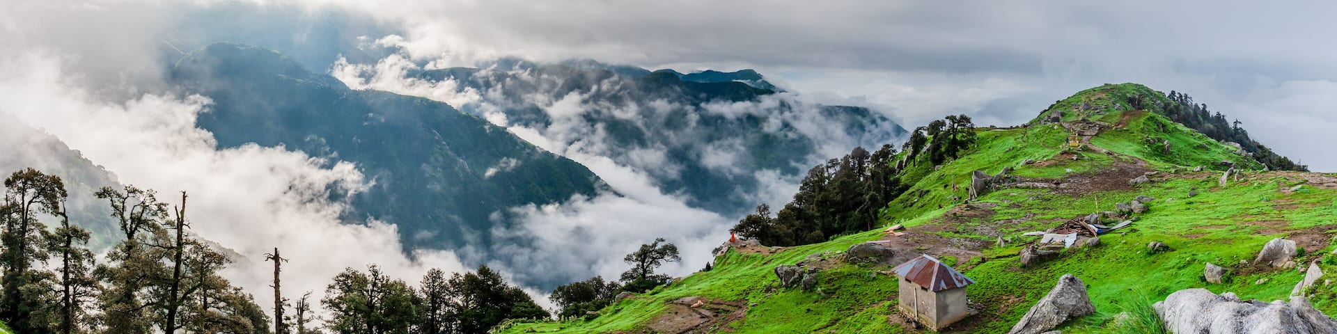 Forested mountain slope with the evergreen conifers shrouded in mist in a scenic landscape view at Triund Hill, Mcleod ganj, Himachal Pradesh, India.