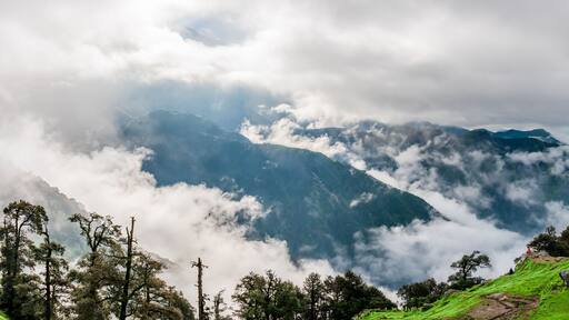 Forested mountain slope with the evergreen conifers shrouded in mist in a scenic landscape view at Triund Hill, Mcleod ganj, Himachal Pradesh, India.