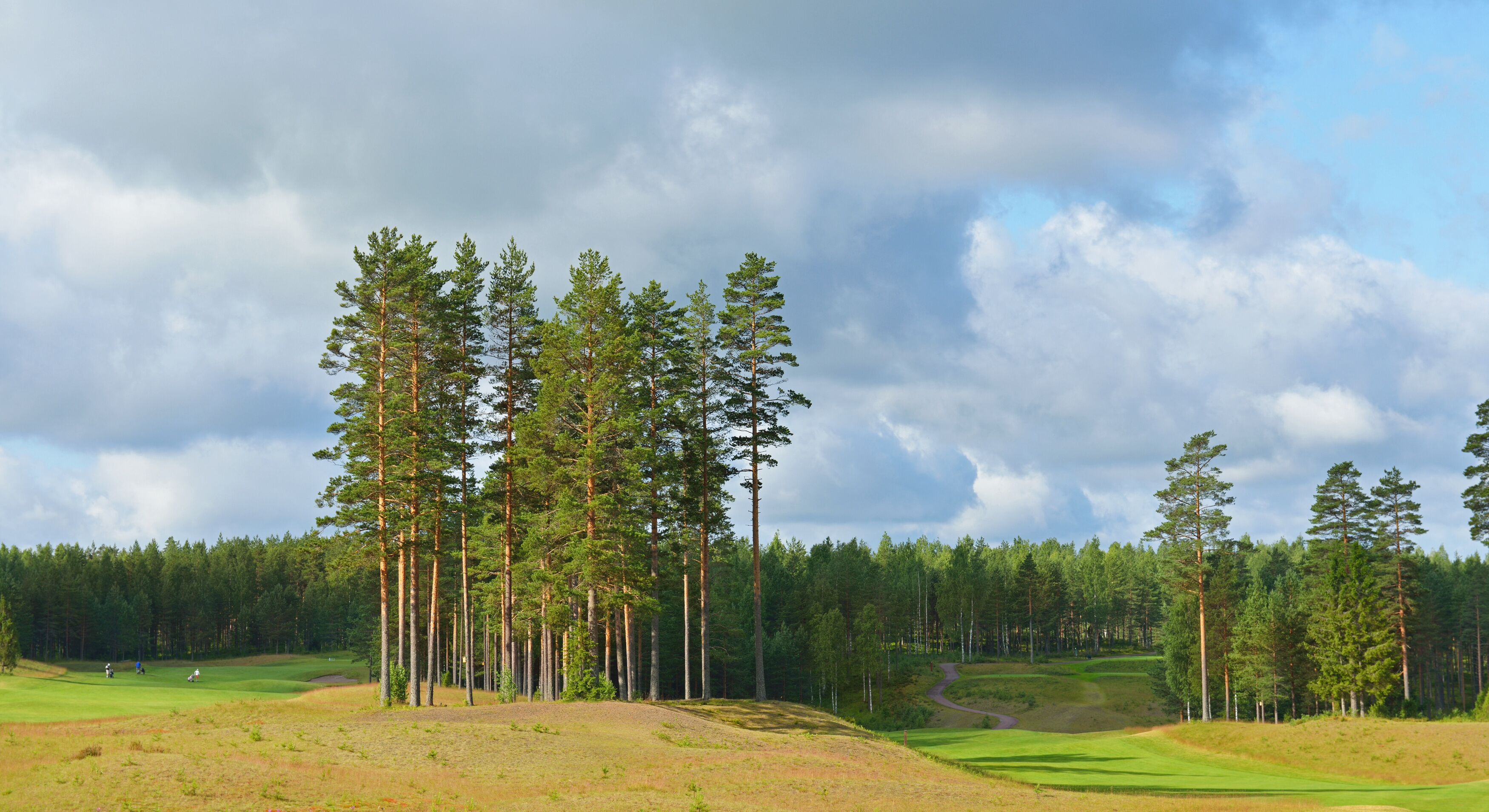 Landscape with golf courses
