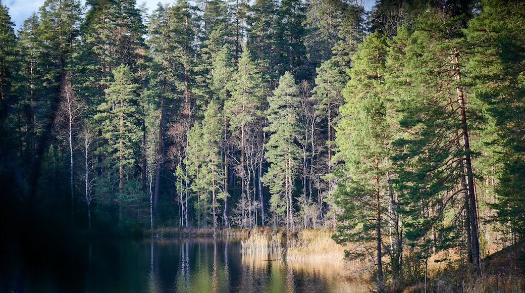 lake in forest in Vierumaki finland