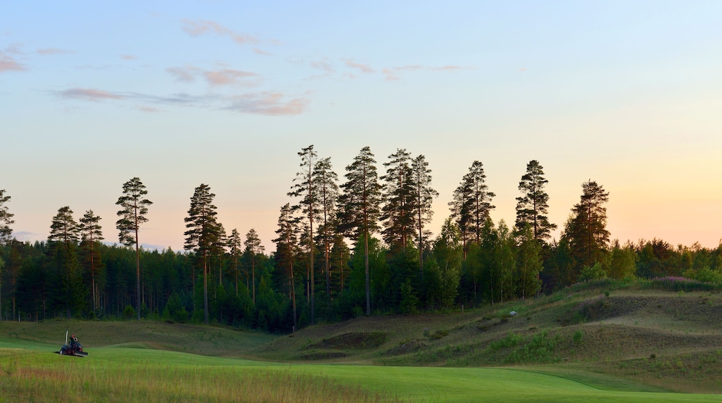 Golf courses. Sunset