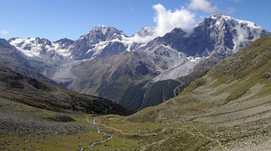 Cima Solda/Suldensptize (m. 3378 s.l.m.), Gran Zebrù/Königspitze (m.3857 s.l.m.), Zebrù (m.3735 s.l.m.) e Ortles/Ortler (m. 3902 s.l.m.)