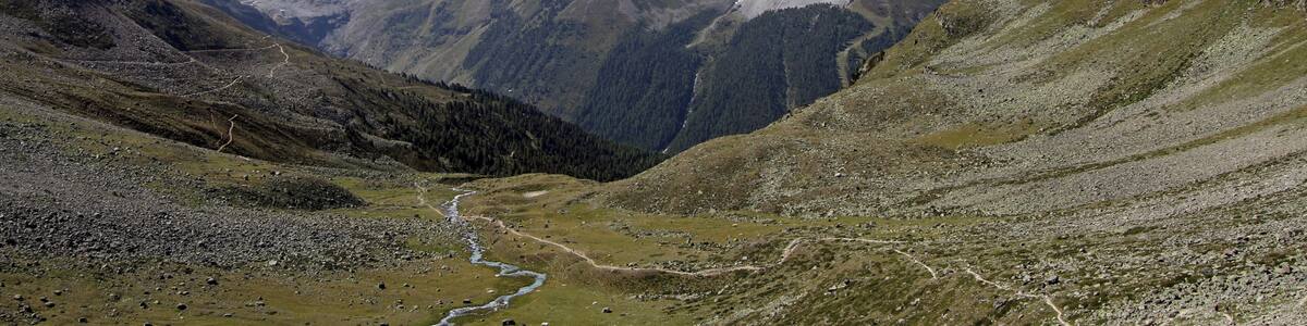 Cima Solda/Suldensptize (m. 3378 s.l.m.), Gran Zebrù/Königspitze (m.3857 s.l.m.), Zebrù (m.3735 s.l.m.) e Ortles/Ortler (m. 3902 s.l.m.)