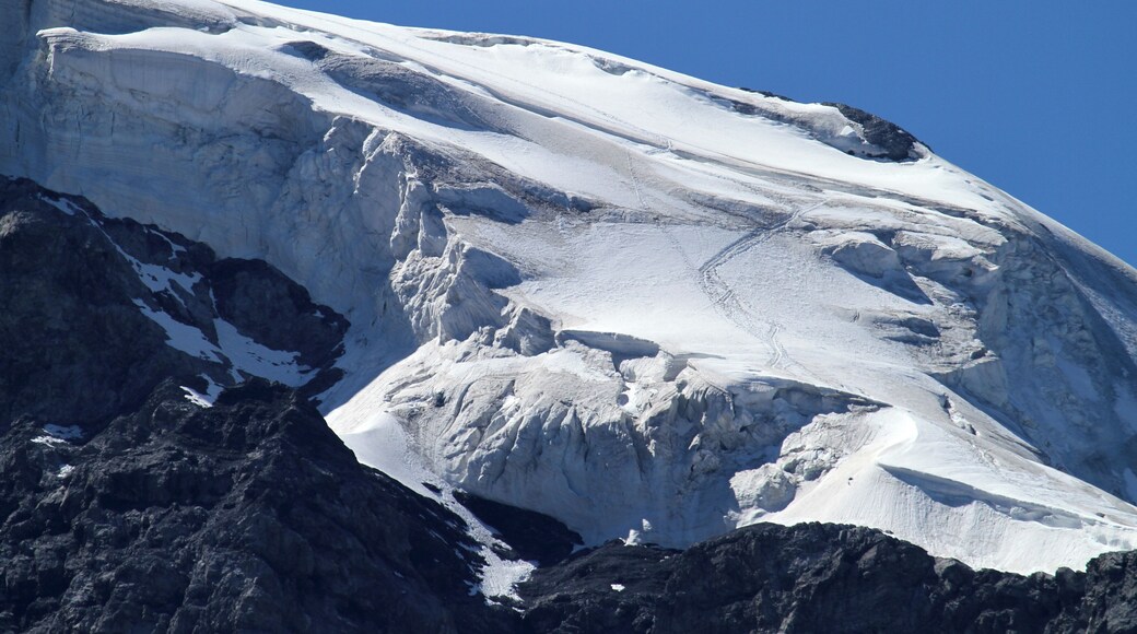 I ghiacci dell'Ortles/Ortler