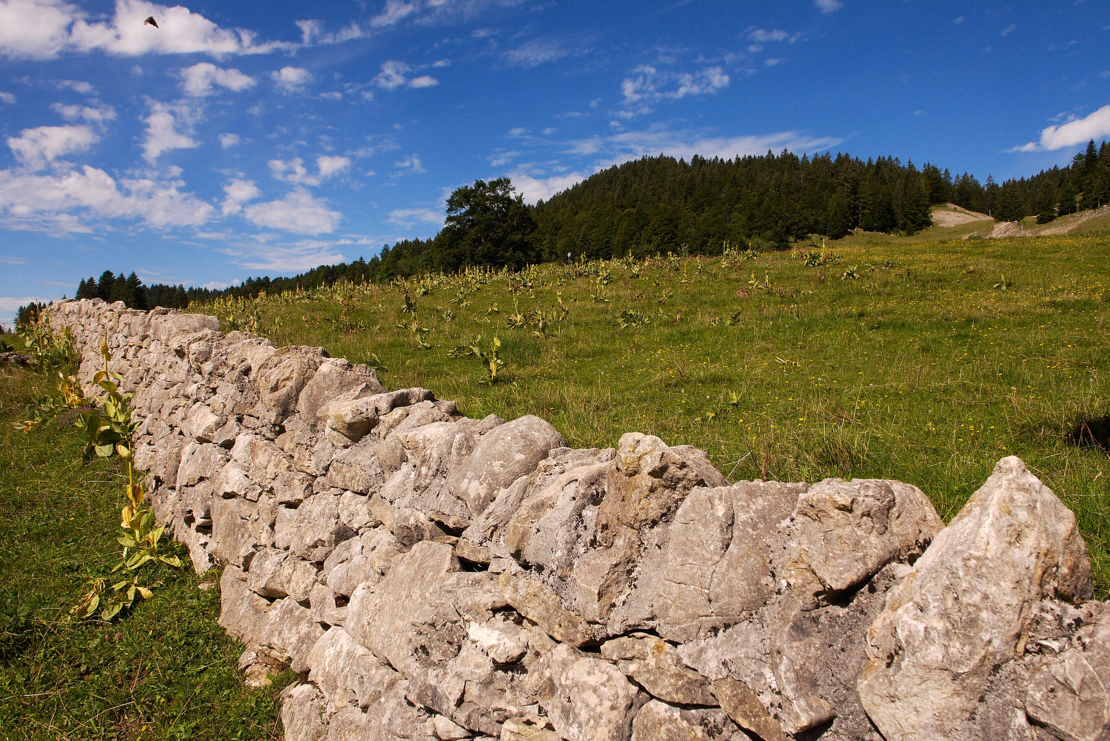 JRRP9F Jura Mountains landscape, Les Rousses, La Dole mountain, Franche-Comte, Jura, (France)