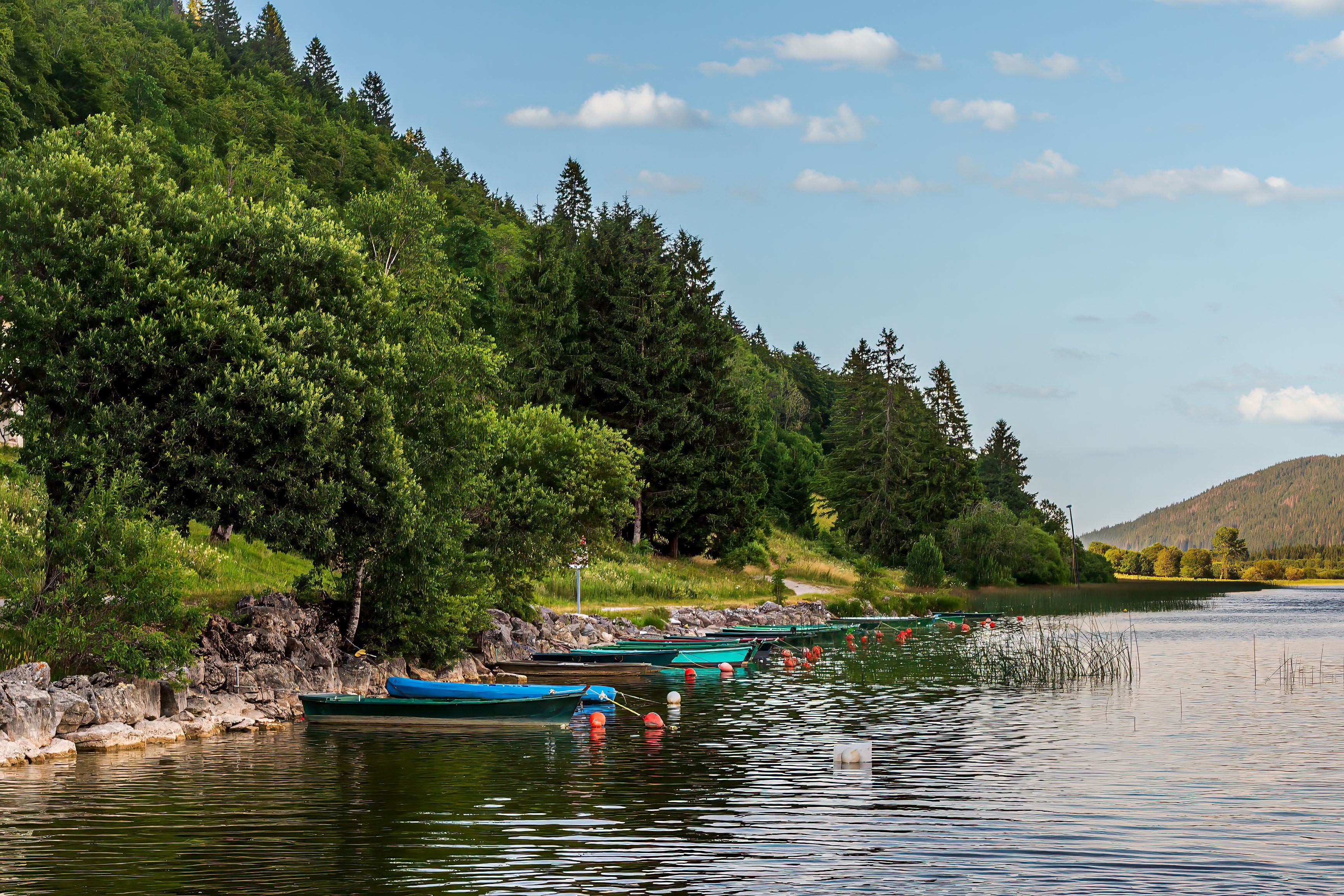 A calm lake with boats docked along the shore, surrounded by dense green forest and a clear blue sky.