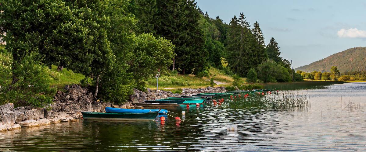 A calm lake with boats docked along the shore, surrounded by dense green forest and a clear blue sky.