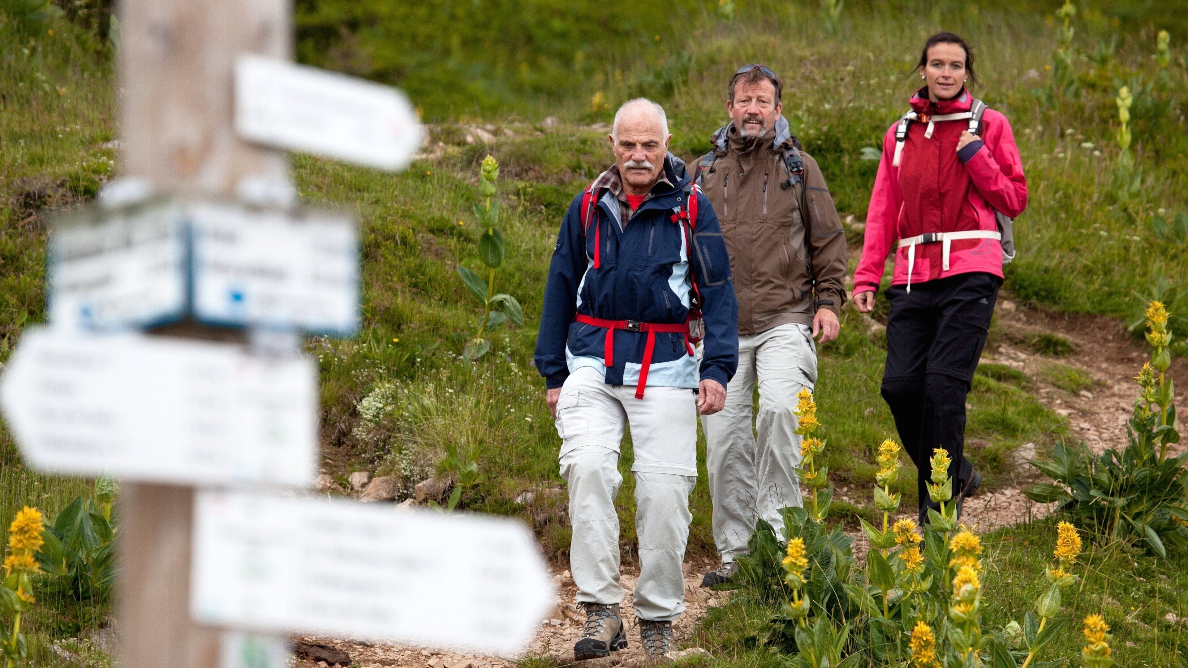 Feldberg Ski Resort which includes hiking or walking and signage as well as a small group of people