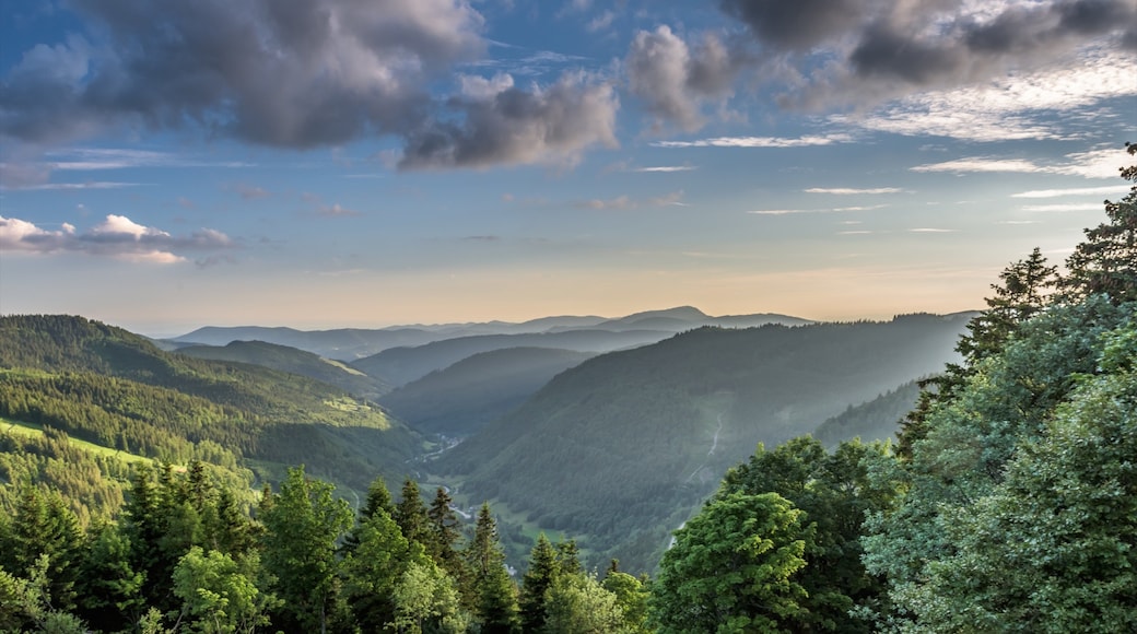 Feldberg Ski Resort featuring mountains and landscape views