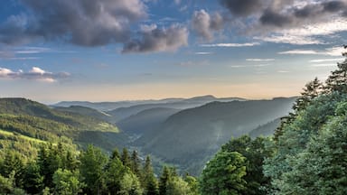 Feldberg Ski Resort featuring mountains and landscape views