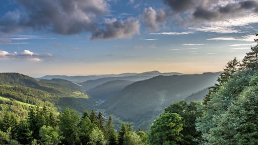 Station de ski de Feldberg montrant montagnes et panoramas