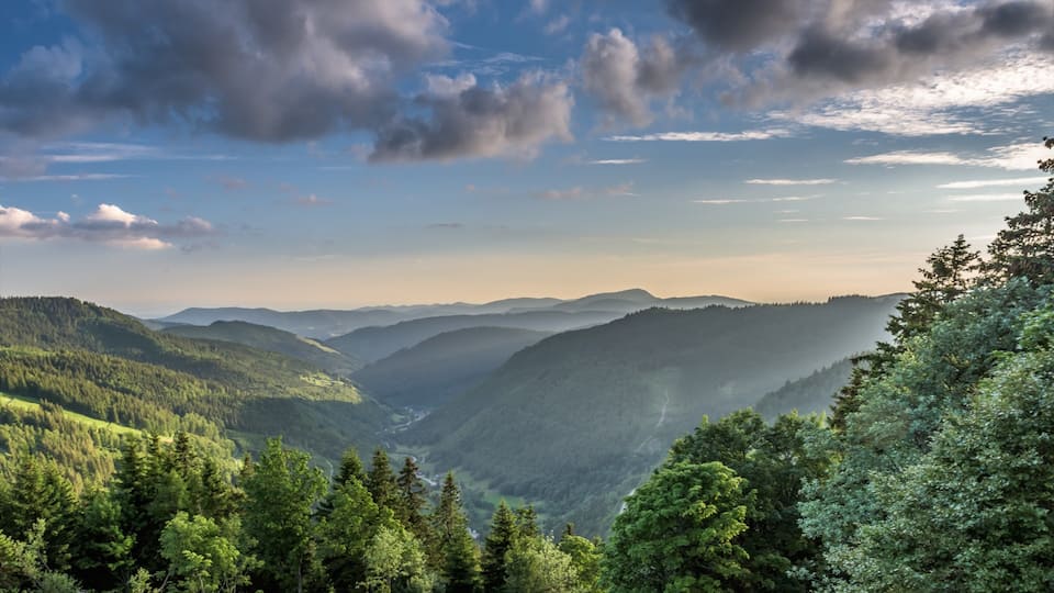 A mountainous landscape with dense forests and a winding road.