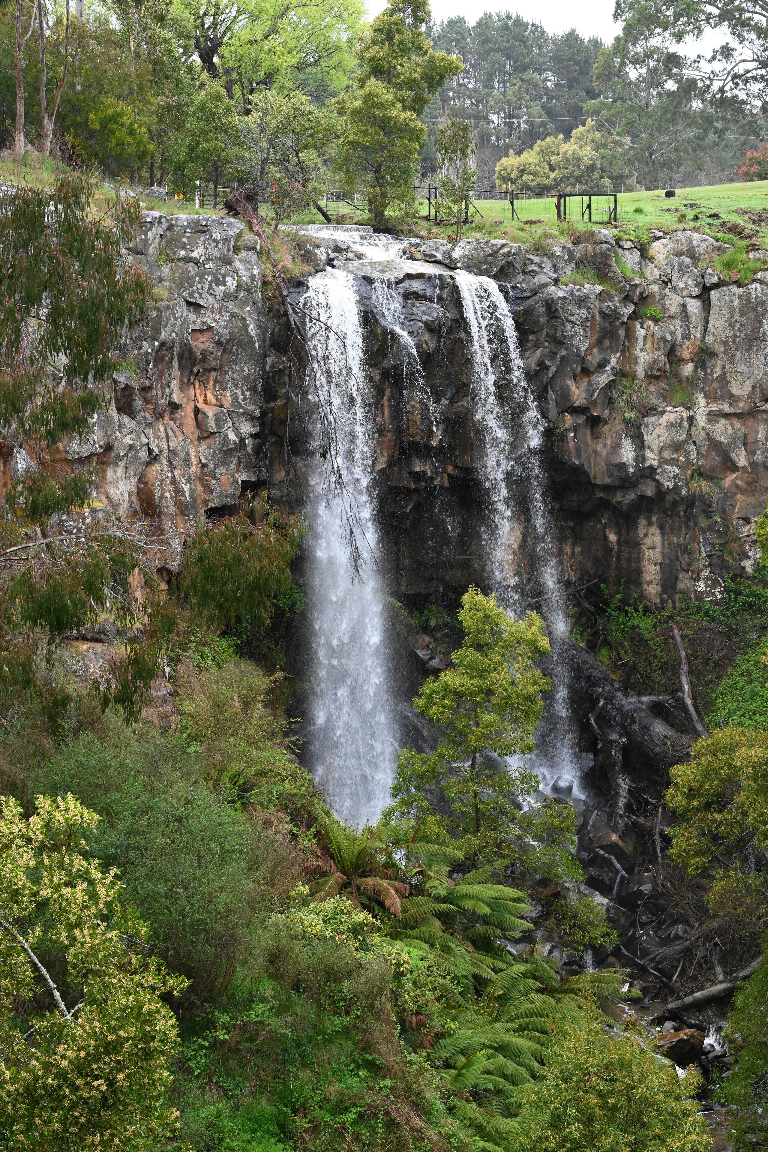 Sailors Falls waterfall ,Hepburn Regional Park,  Daylesford, Victoria, Australia