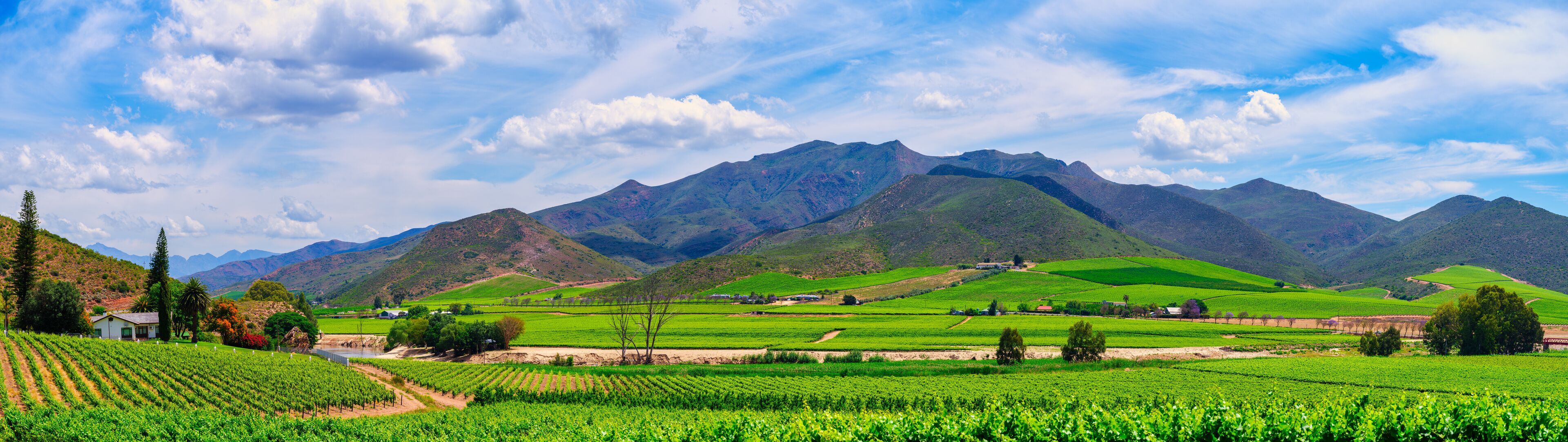 Panoramic view of Robertson valley, farmhouse on the hilltop, Breede River and Langeberg Mountains, Western Cape, South Africa