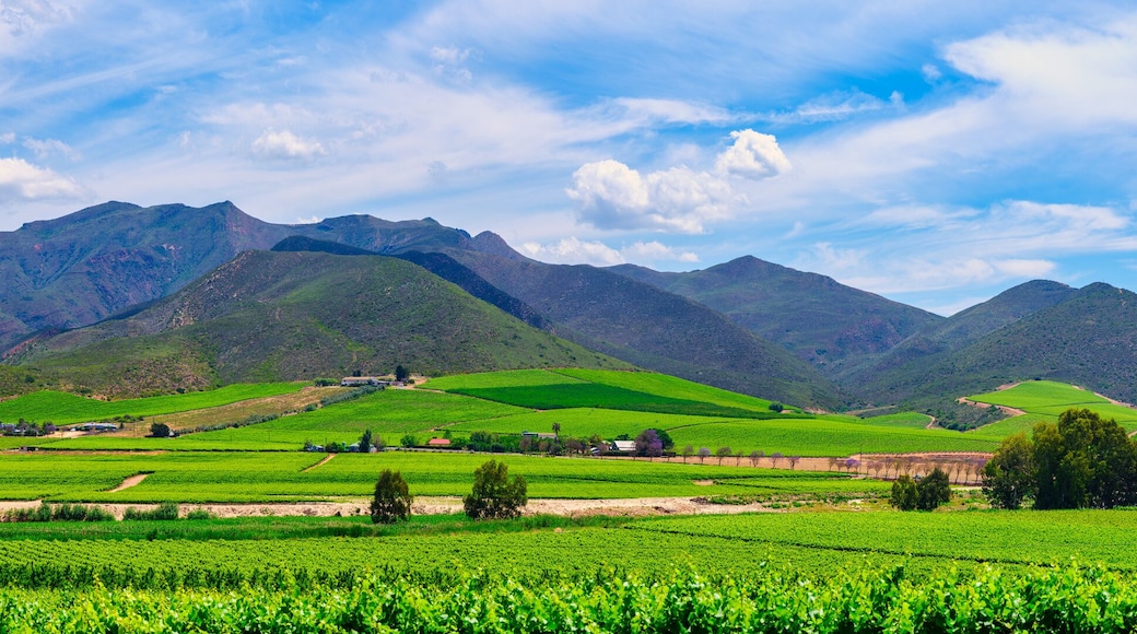 Panoramic view of Robertson valley, farmhouse on the hilltop, Breede River and Langeberg Mountains, Western Cape, South Africa